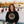 Florida Goldens Sweatshirt