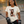 Queen of Hearts Unisex Tee